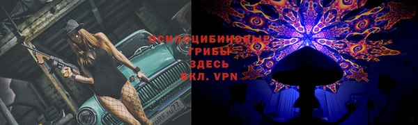 мдпв Вязники