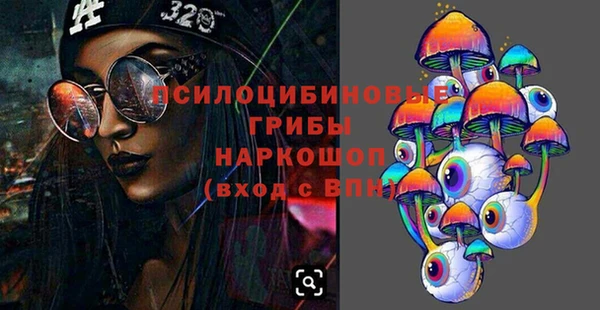 ПСИЛОЦИБИНОВЫЕ ГРИБЫ Вяземский